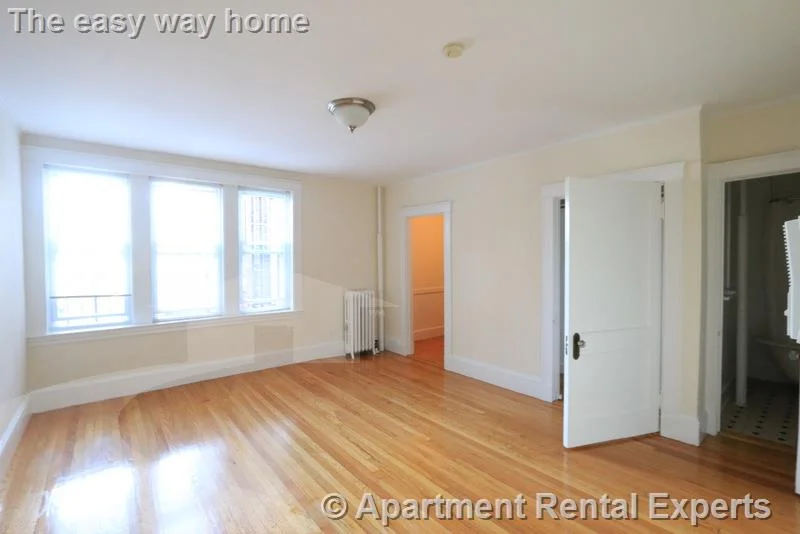 Studio bed, 1 bath apartment for rent at 156-158 Summer St Unit 308, Spring Hill — photo 1 of 8