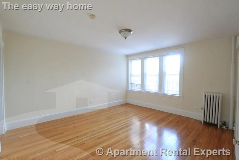 Studio bed, 1 bath apartment for rent at 156-158 Summer St Unit 308, Spring Hill — photo 4 of 8