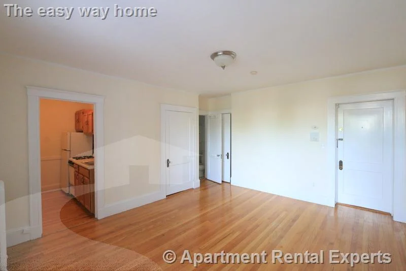 Studio bed, 1 bath apartment for rent at 156-158 Summer St Unit 308, Spring Hill — photo 2 of 8