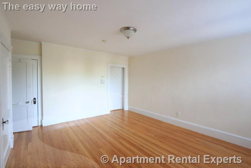 Studio bed, 1 bath apartment for rent at 156-158 Summer St Unit 308, Spring Hill — photo 3 of 8