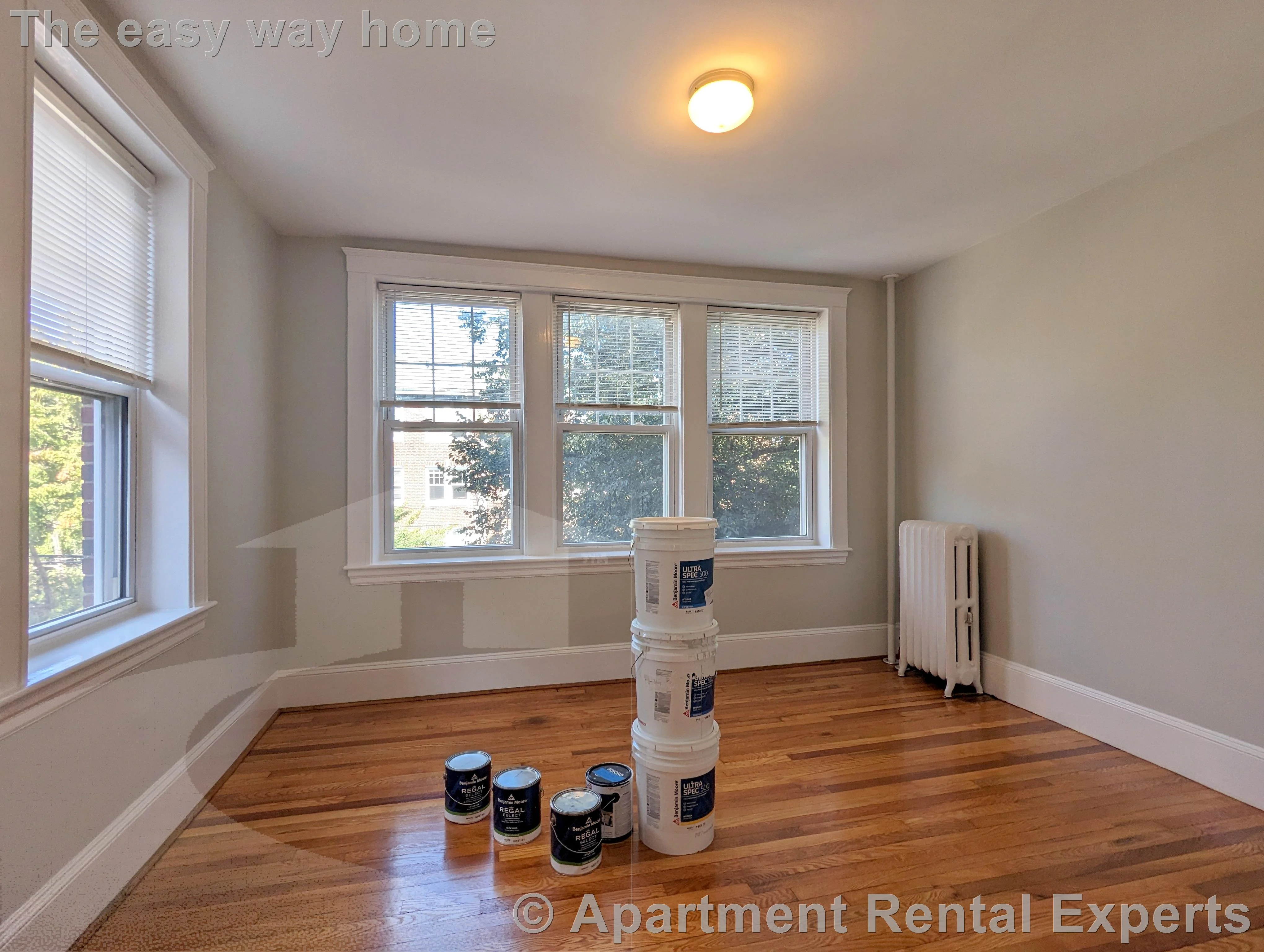 1 bed, 1 bath apartment for rent at 156-158 Summer St Unit 309, Spring Hill — photo 9 of 11