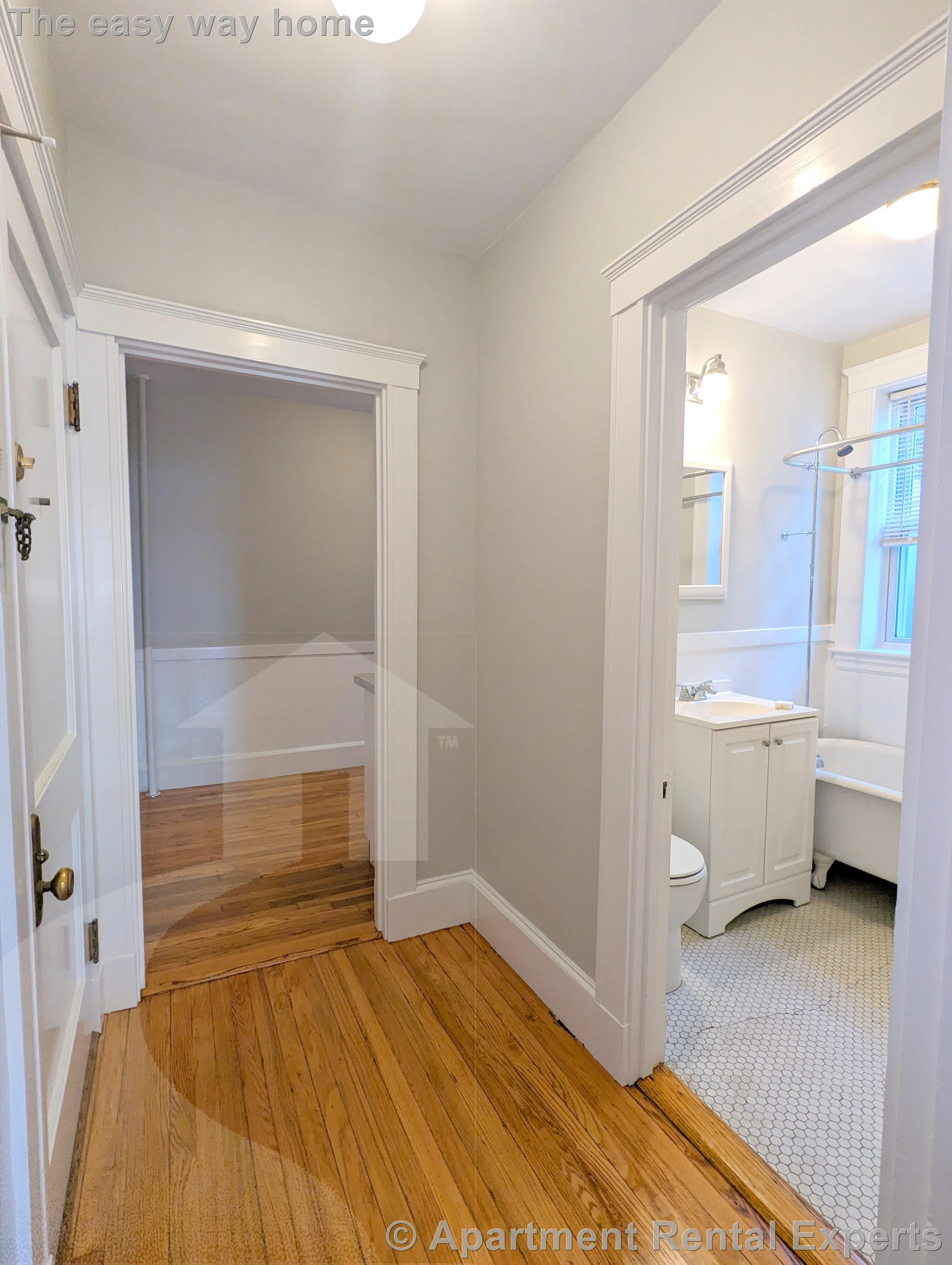 1 bed, 1 bath apartment for rent at 156-158 Summer St Unit 309, Spring Hill — photo 3 of 11