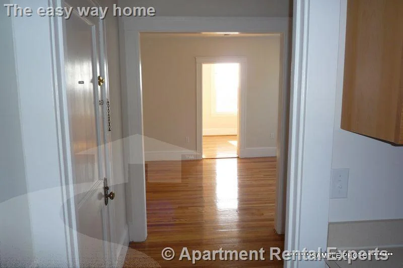 1 bed, 1 bath apartment for rent at 156-158 Summer St Unit 407, Spring Hill — photo 2 of 5