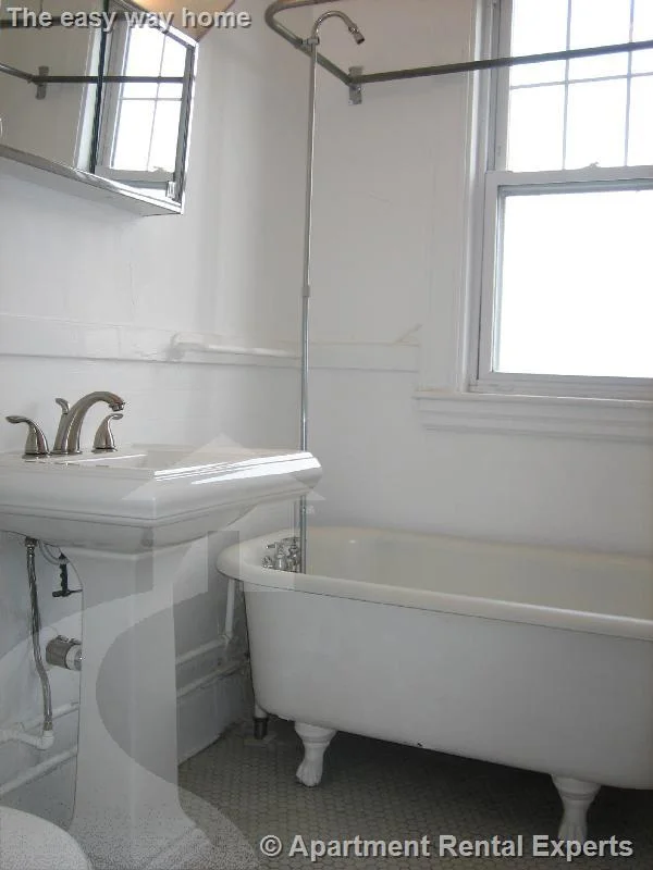 1 bed, 1 bath apartment for rent at 156-158 Summer St Unit 412, Spring Hill — photo 6 of 6