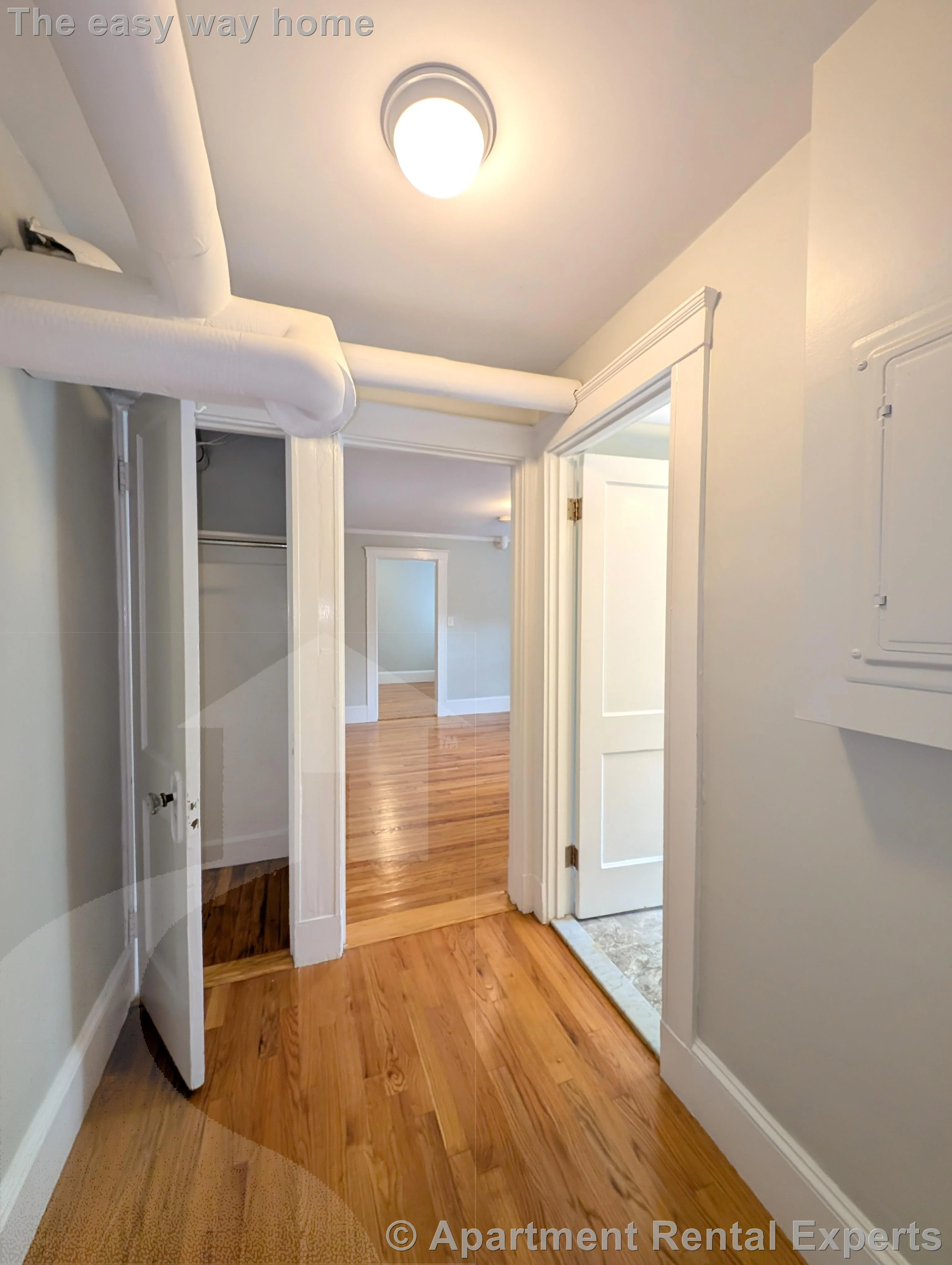 1 bed, 1 bath apartment for rent at 156-158 Summer St Unit B2, Spring Hill — photo 3 of 12