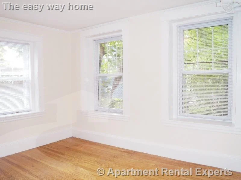 2 bed, 1 bath apartment for rent at 156-158 Summer St Unit B3, Spring Hill — photo 5 of 8