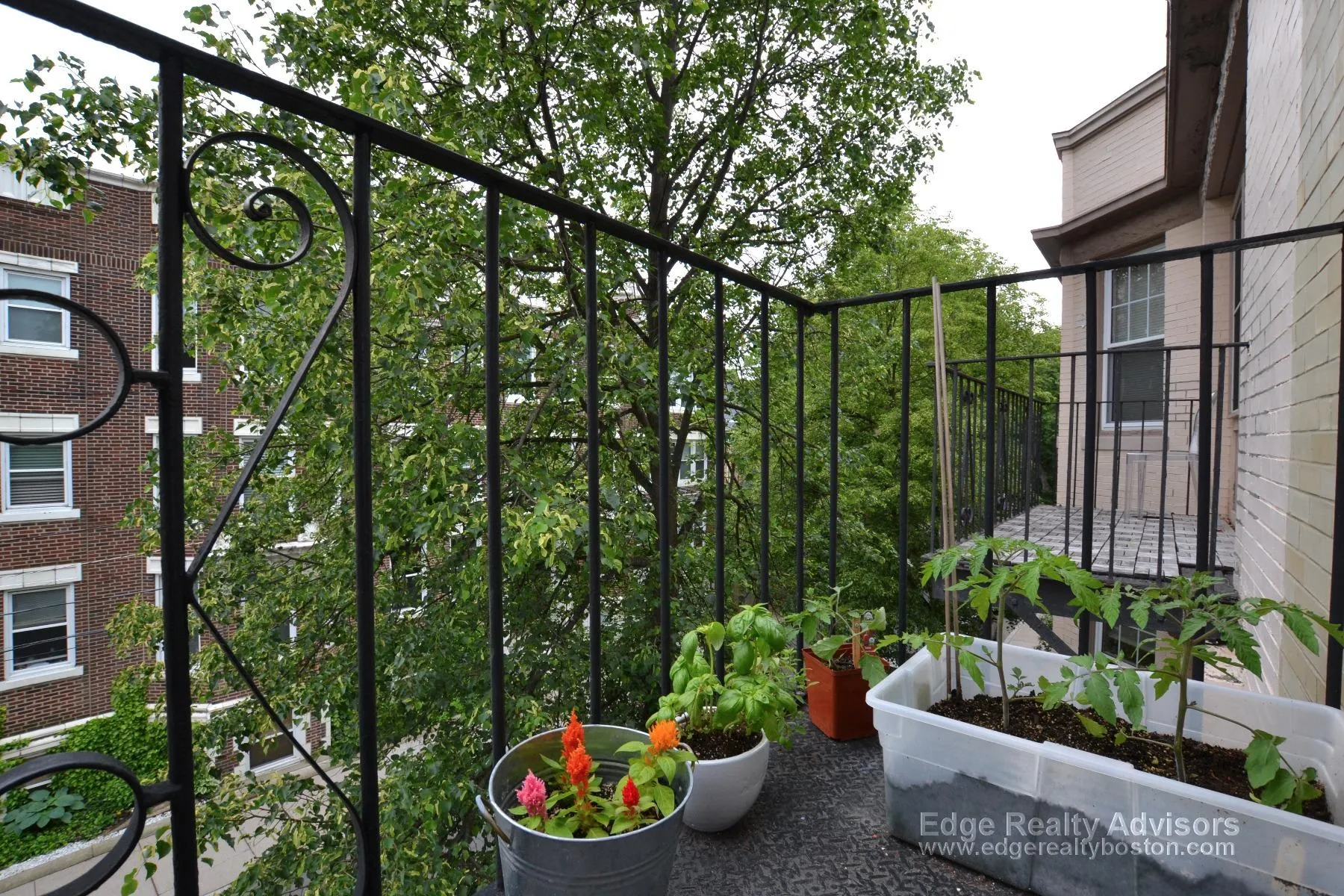 4 bed, 2 bath apartment for rent at 156 Coolidge St Unit 3, Washington Square — photo 7 of 13