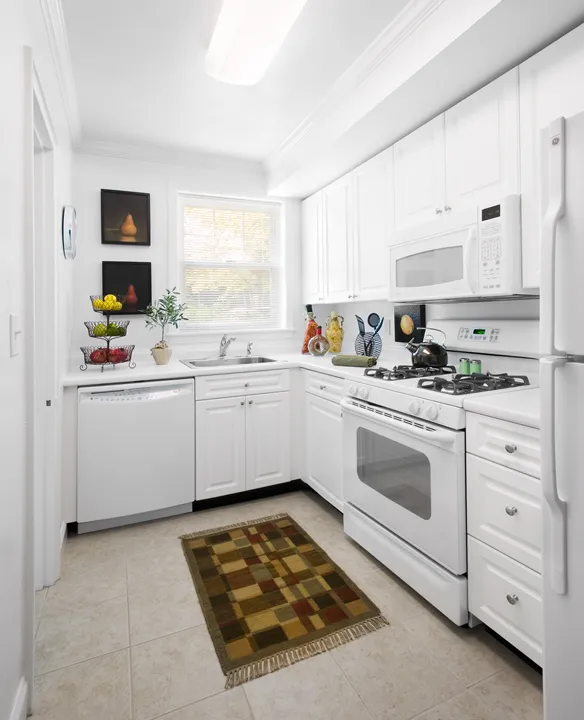 1 bed, 1 bath apartment for rent at 156 Independence Dr Unit 156, Chestnut Hill — photo 2 of 4
