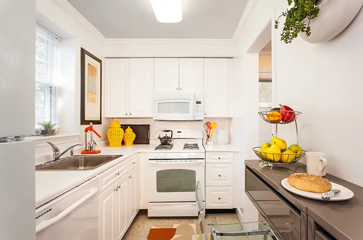 1 bed, 1 bath apartment for rent at 156 Independence Dr Unit 156, Chestnut Hill — photo 1 of 4