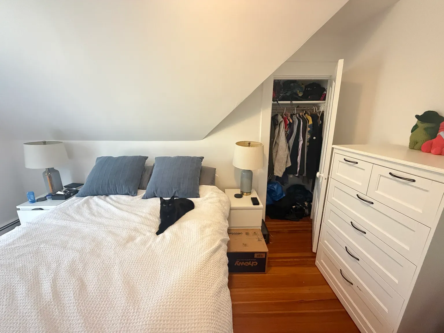 1 bed, 1 bath apartment for rent at 156 Morrison Ave Unit 3, Powder House Square — photo 10 of 17