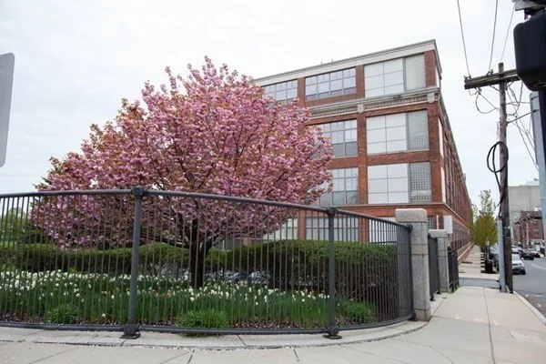 1 bed, 1 bath apartment for rent at 156 Porter St Unit 424, East Boston — photo 32 of 42
