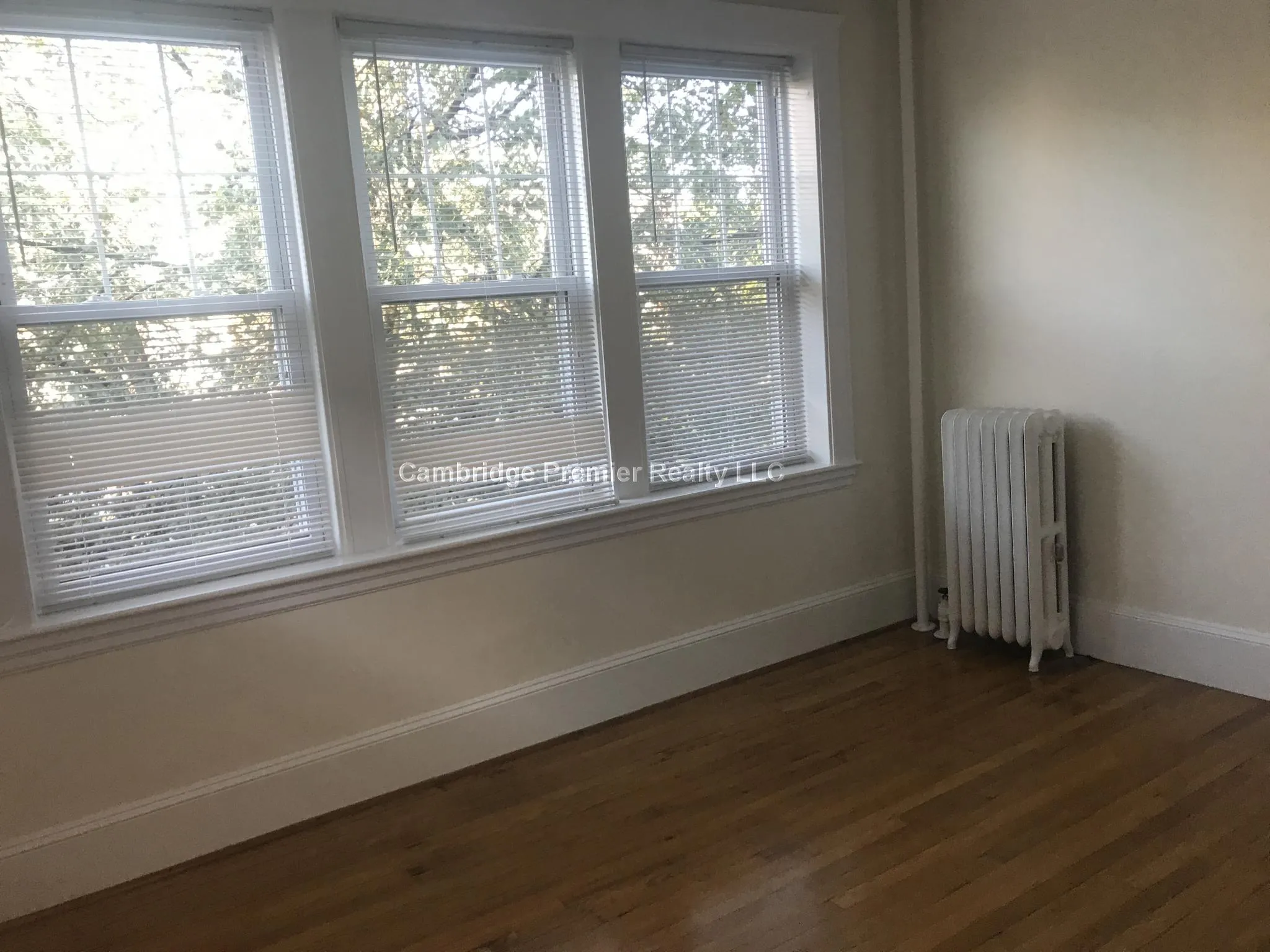 1 bed, 1 bath apartment for rent at 156 Summer St Unit 109, Spring Hill — photo 4 of 8