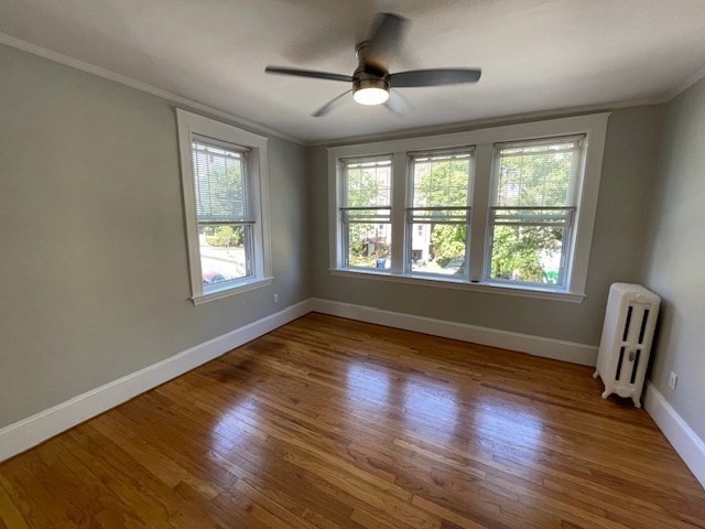 1 bed, 1 bath apartment for rent at 156 Summer St Unit 306, Spring Hill — photo 5 of 8