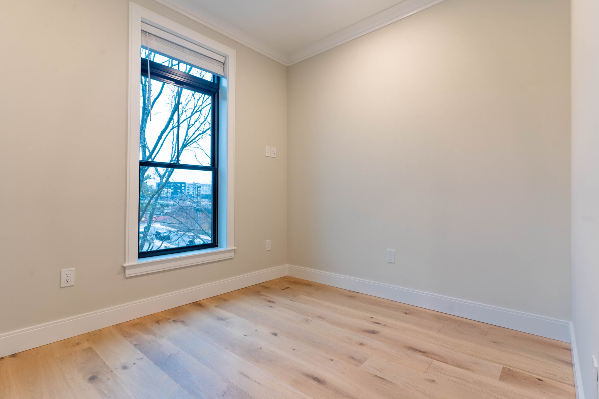 2 bed, 2 bath apartment for rent at 157 Everett St Unit 301, Allston — photo 3 of 12