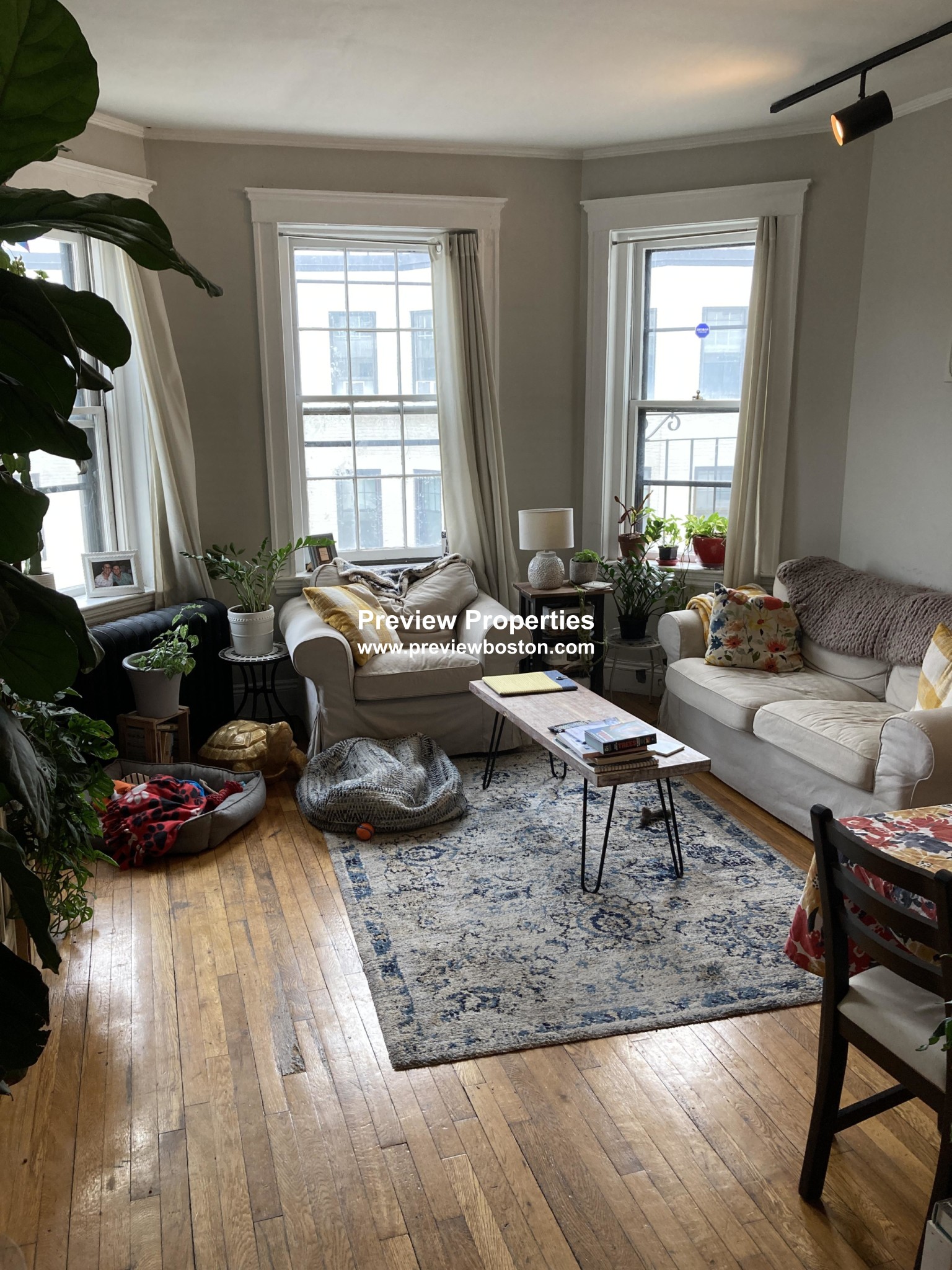 1 bed, 1 bath apartment for rent at 1572 Commonwealth Ave Unit 8M, Brighton — photo 21 of 30