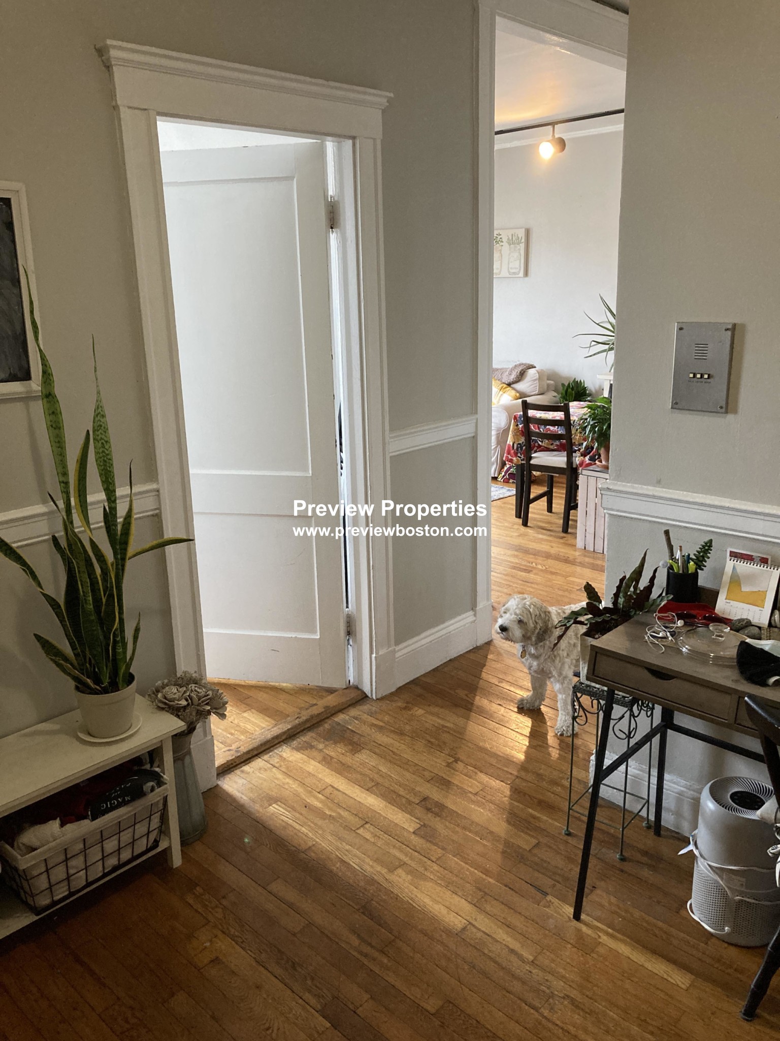 1 bed, 1 bath apartment for rent at 1572 Commonwealth Ave Unit 8M, Brighton — photo 16 of 30