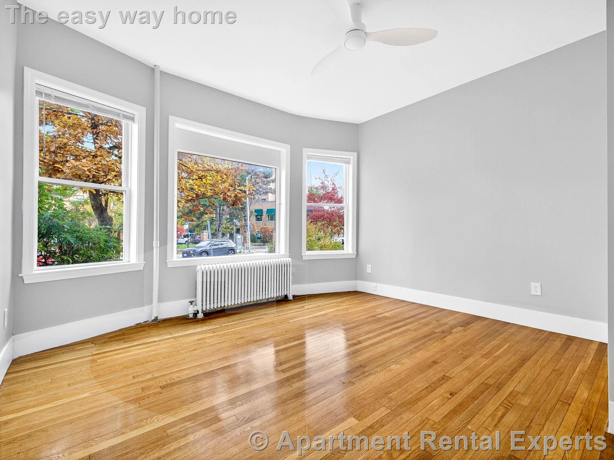 Studio bed, 1 bath apartment for rent at 1576 Cambridge St Unit 1F, Inman Square — photo 4 of 10