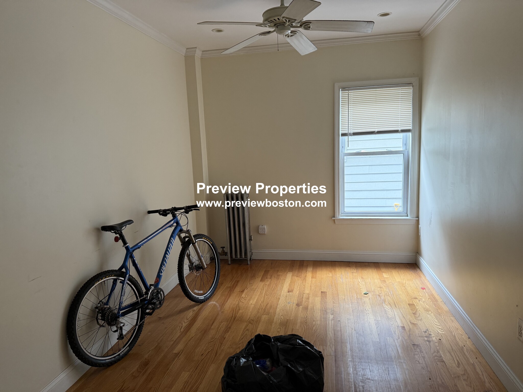 1 bed, 1 bath apartment for rent at 1576 Cambridge St Unit 1RP, Mid Cambridge — photo 3 of 3