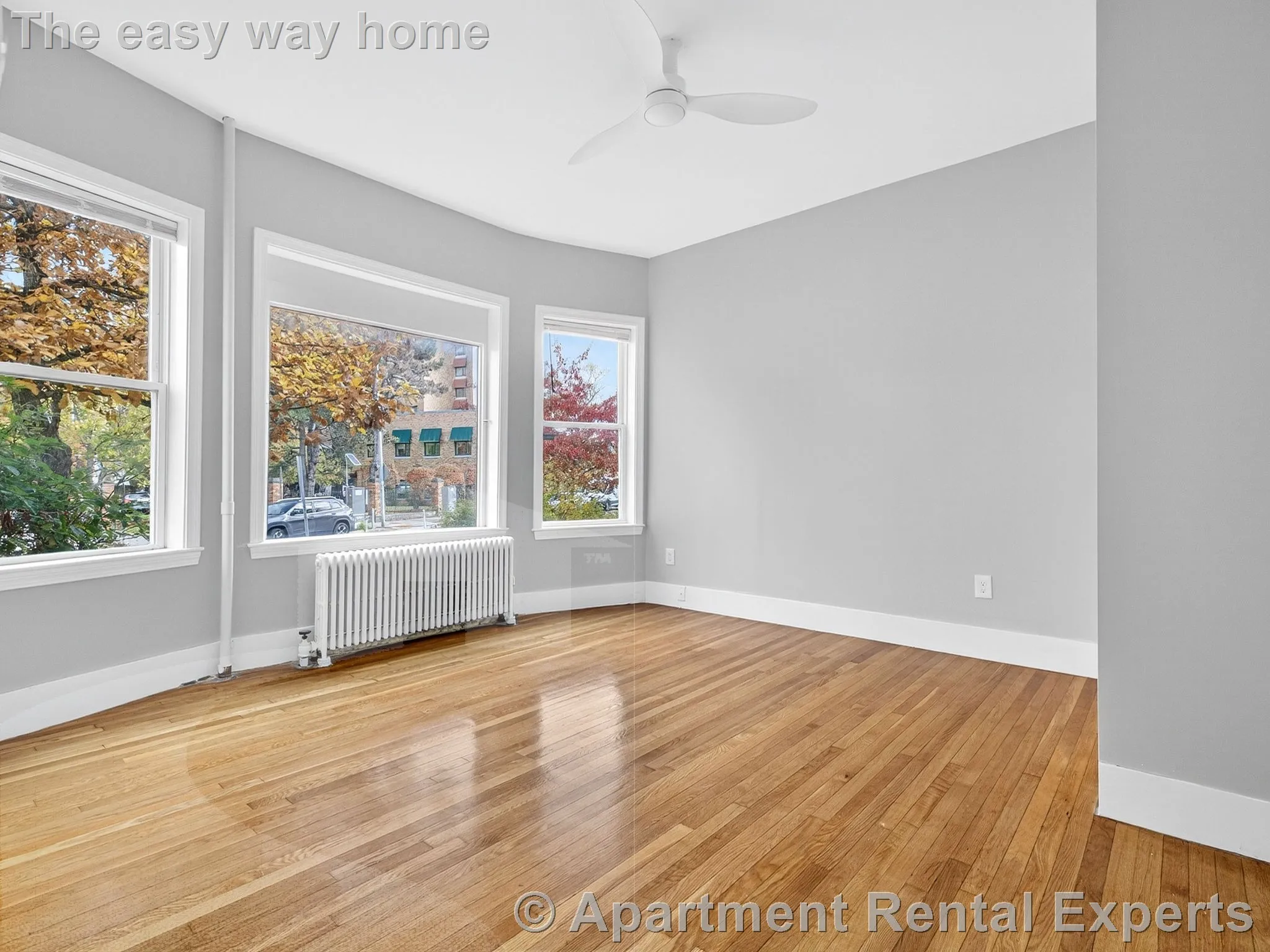 Studio bed, 1 bath apartment for rent at 1576 Cambridge St Unit 2F, Inman Square — photo 3 of 10