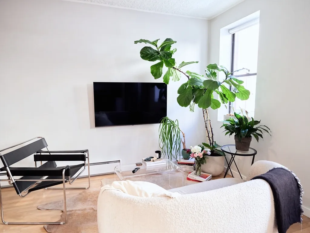 1 bed, 1 bath apartment for rent at 159 Cottage St Unit 3, East Boston — photo 2 of 16