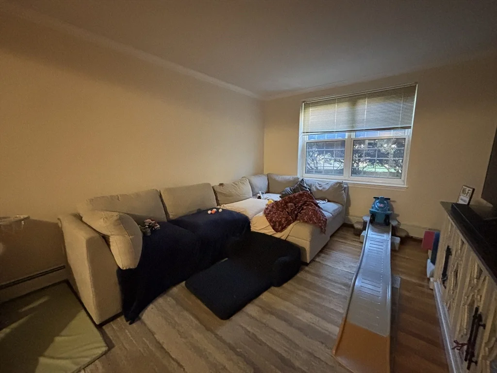 2 bed, 2 bath apartment for rent at 159 Saint Paul St Unit 1, Coolidge Corner — photo 3 of 12