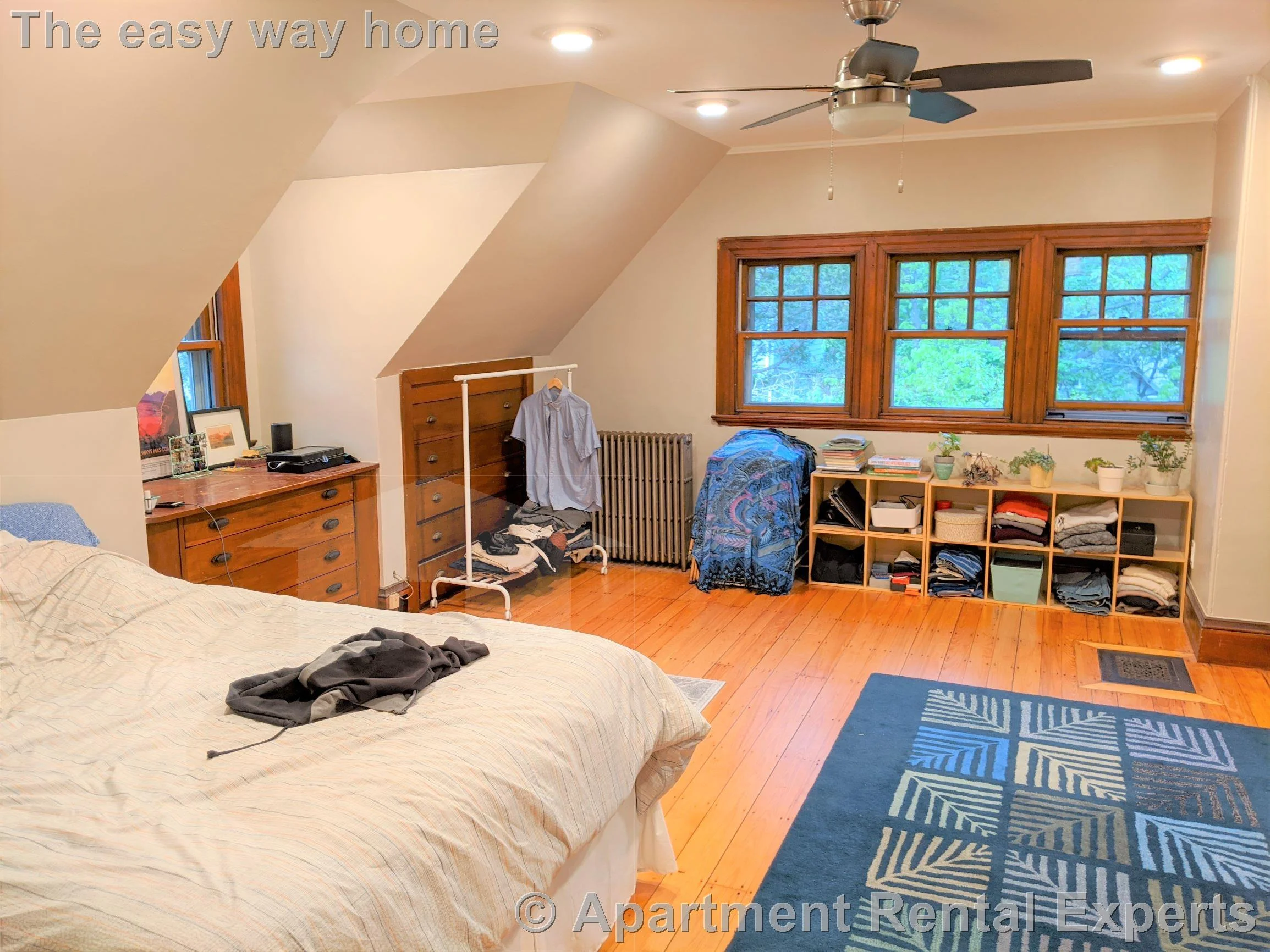1 bed, 1 bath apartment for rent at 16 Alpine St Unit 4, Malden Center — photo 3 of 16