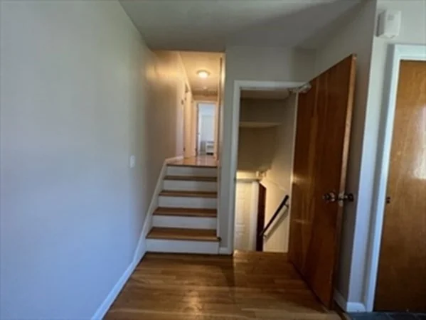 3 bed, 2 bath apartment for rent at 16 Amor Rd, Milton — photo 23 of 42