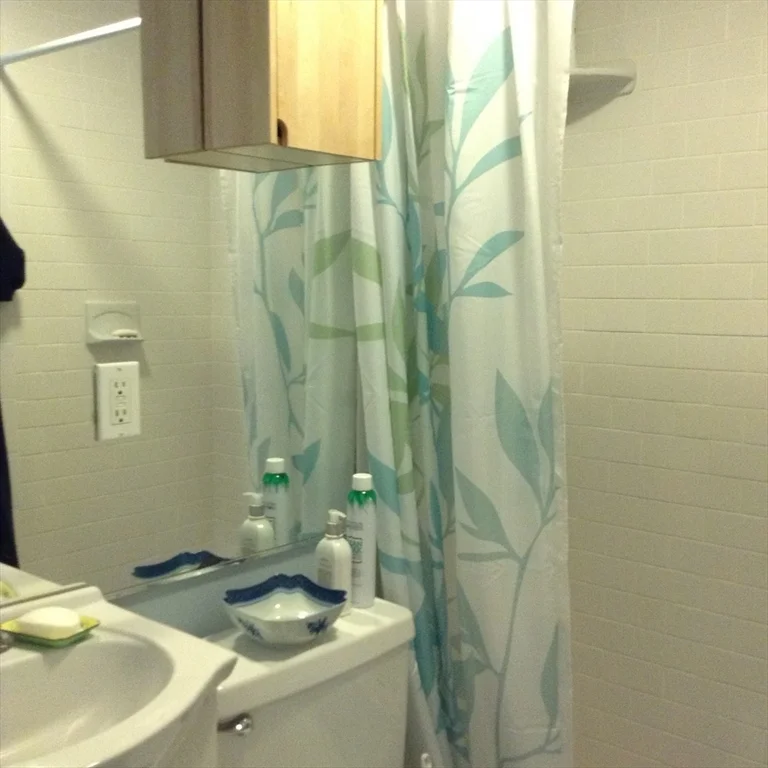 Studio bed, 1 bath apartment for rent at 16 Cumberland St Unit 1, South End — photo 7 of 8
