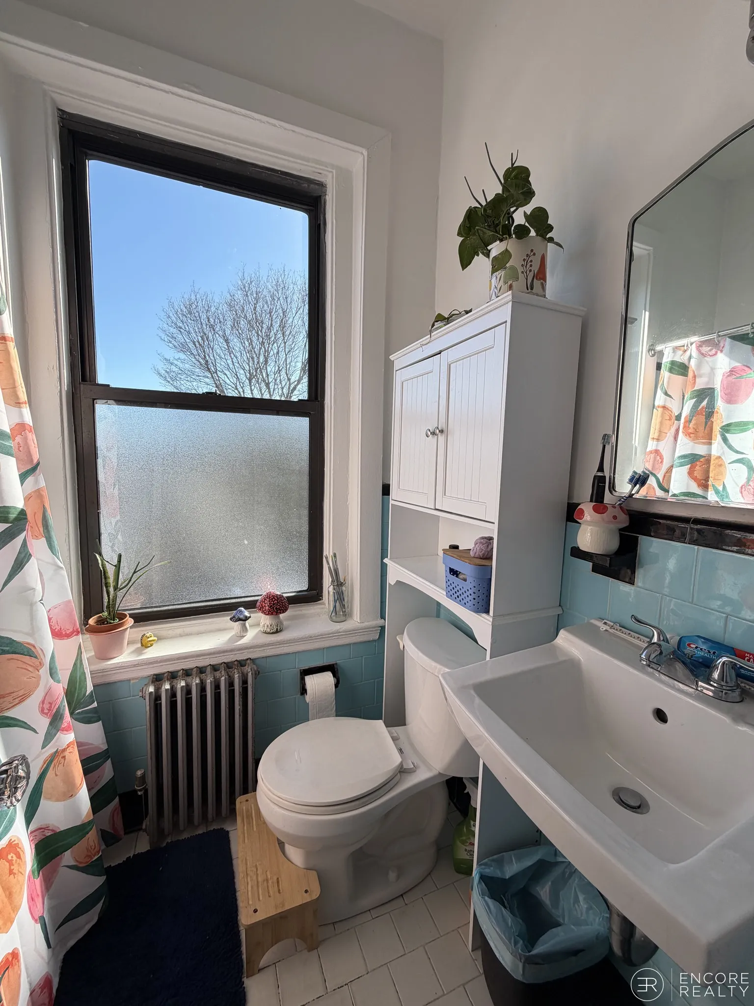 1 bed, 1 bath apartment for rent at 16 Davis Ave Unit 8, Emerson Gardens — photo 12 of 18