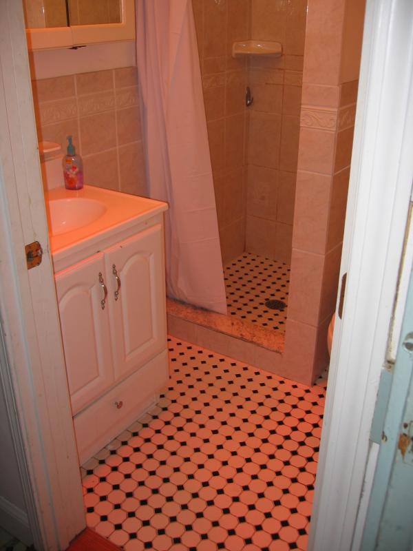4 bed, 2 bath apartment for rent at 16 Dighton St Unit 1, Brighton — photo 7 of 19