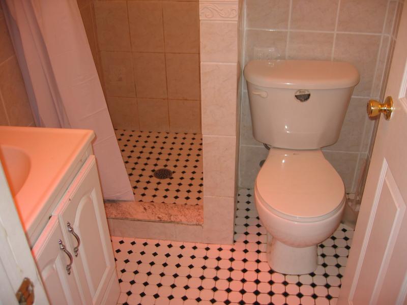 4 bed, 2 bath apartment for rent at 16 Dighton St Unit 1, Brighton — photo 11 of 19