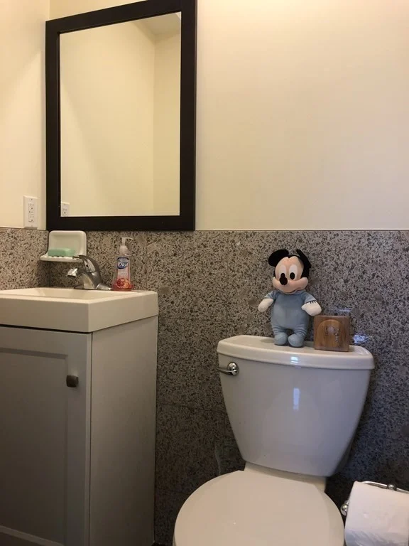 3 bed, 1 bath apartment for rent at 16 Eliot Crescent Unit 1, Chestnut Hill — photo 6 of 10