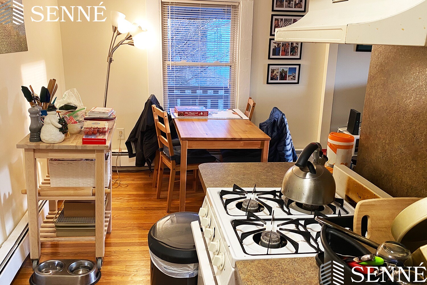 1.5 bed, 1 bath apartment for rent at 16 Evergreen Sq Unit 3, Spring Hill — photo 2 of 12