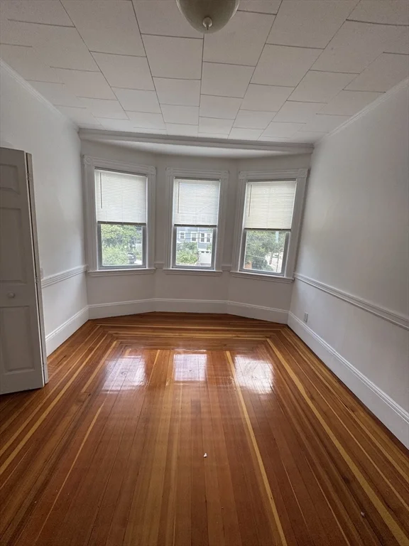 5 bed, 2 bath apartment for rent at 16 Falkland St Unit 2, Brighton — photo 18 of 20