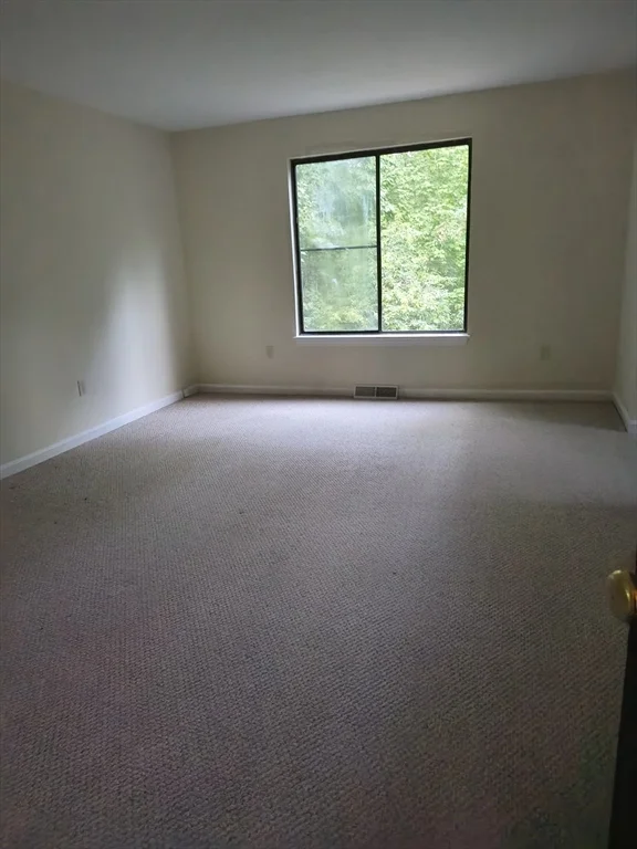 2 bed, 2 bath apartment for rent at 16 Hundred Oaks Ln Unit 16, Ashland — photo 13 of 16
