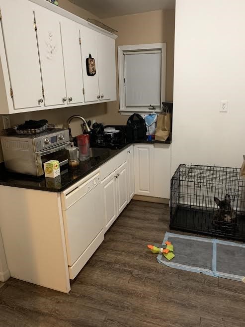 2 bed, 1 bath apartment for rent at 16 Leeds St Unit 1, South Boston — photo 11 of 17