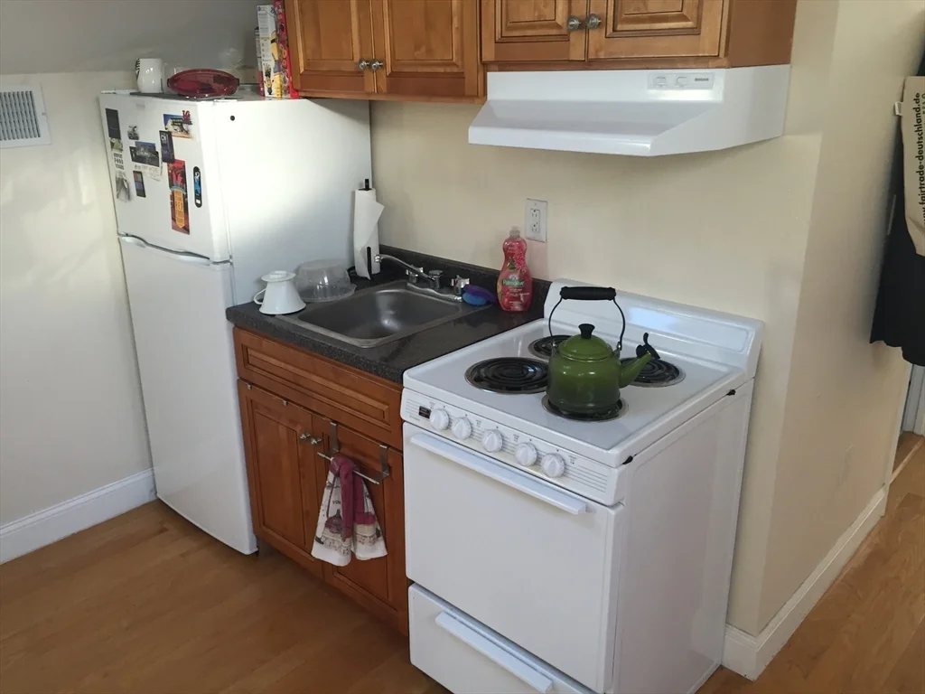 1 bed, 1 bath apartment for rent at 16 Magazine St Unit 3, Roxbury — photo 3 of 8