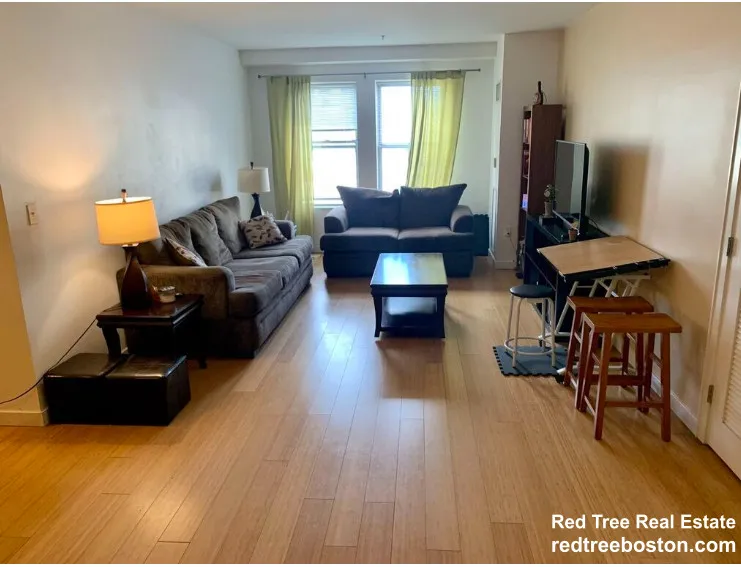 2 bed, 1 bath apartment for rent at 16 Miner St Unit 303, Fenway — photo 3 of 13