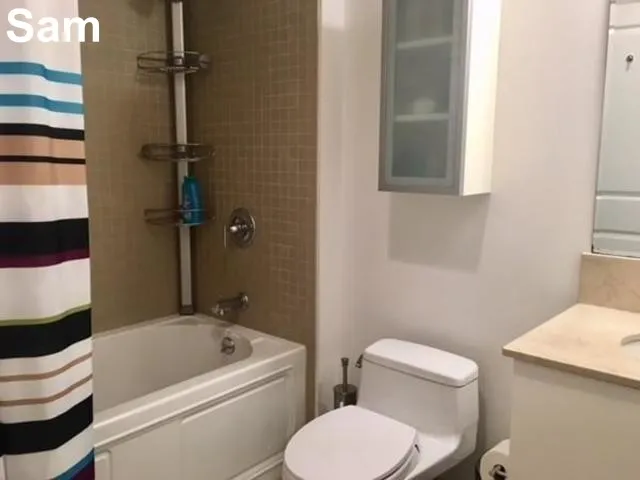1 bed, 1 bath apartment for rent at 16 Miner St Unit 509Fe, Fenway — photo 7 of 11