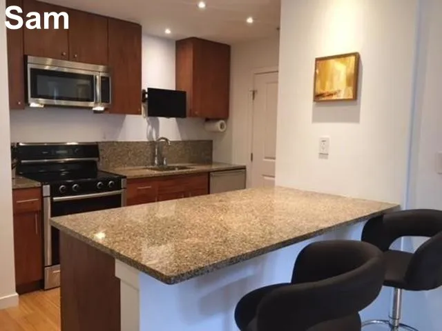 1 bed, 1 bath apartment for rent at 16 Miner St Unit 509Fe, Fenway — photo 4 of 11