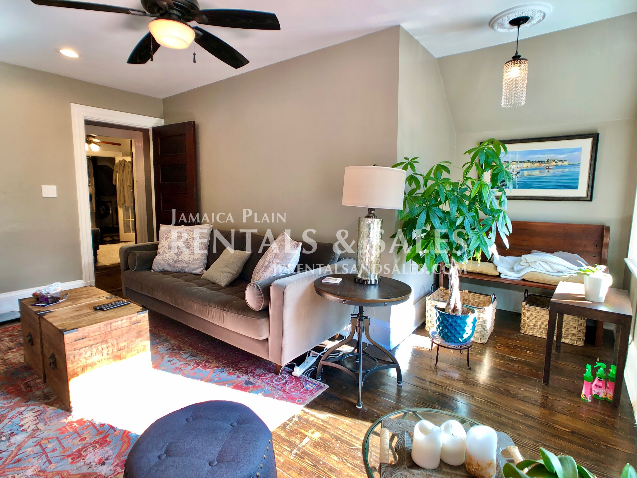 1 bed, 1 bath apartment for rent at 16 Oakview Ter Unit 3, Jamaica Plain — photo 4 of 19