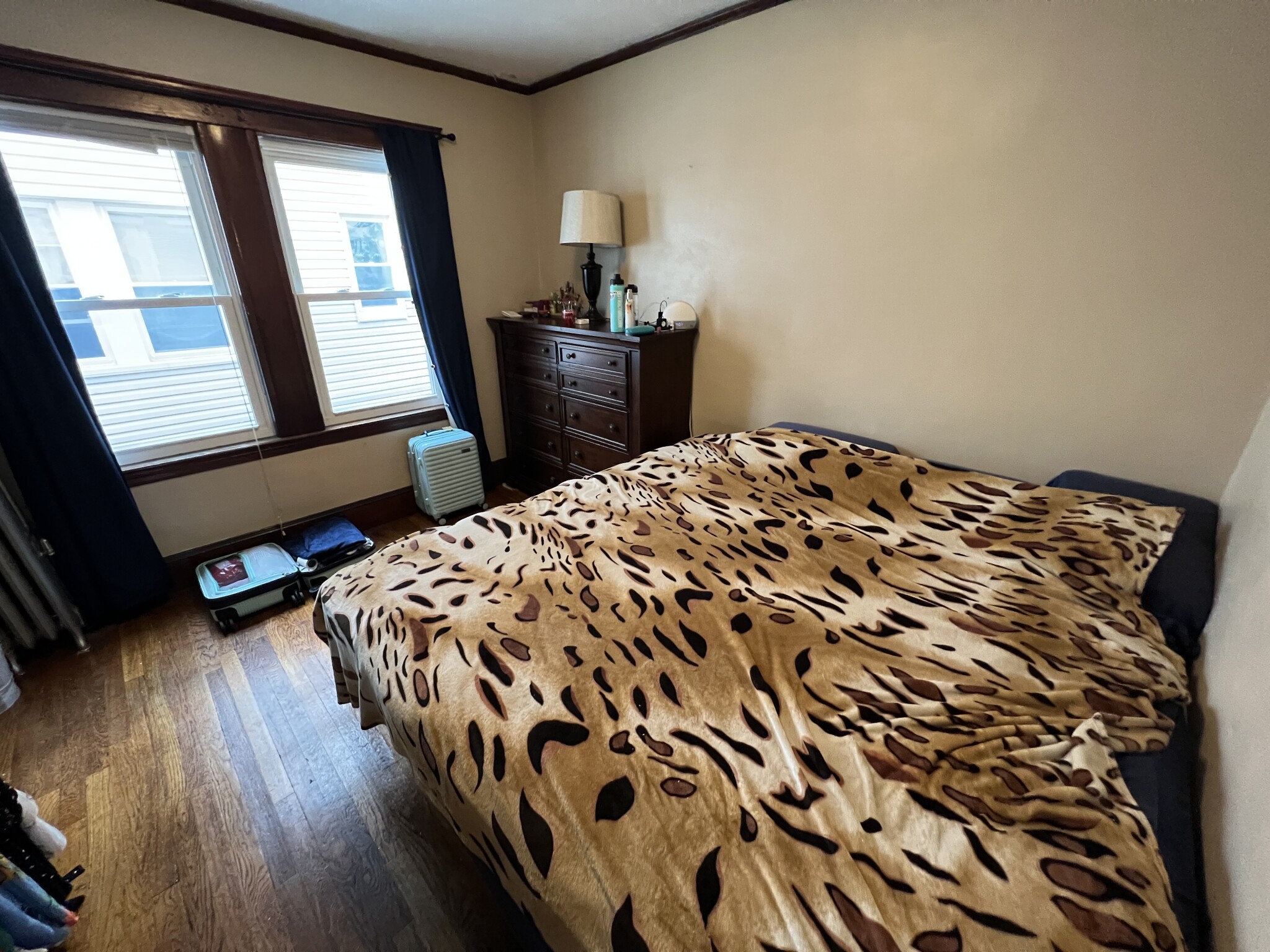 2 bed, 1 bath apartment for rent at 16 Silvey Pl Unit 2, Spring Hill — photo 19 of 31