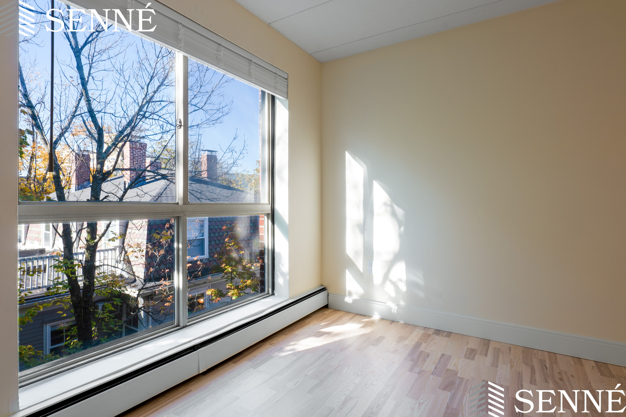 Studio bed, 1 bath apartment for rent at 16 Trowbridge St Unit 32, Mid-Cambridge