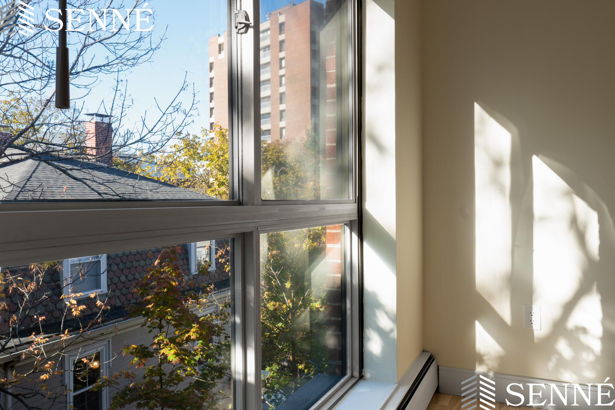Studio bed, 1 bath apartment for rent at 16 Trowbridge St Unit 32, Mid-Cambridge — photo 2 of 6