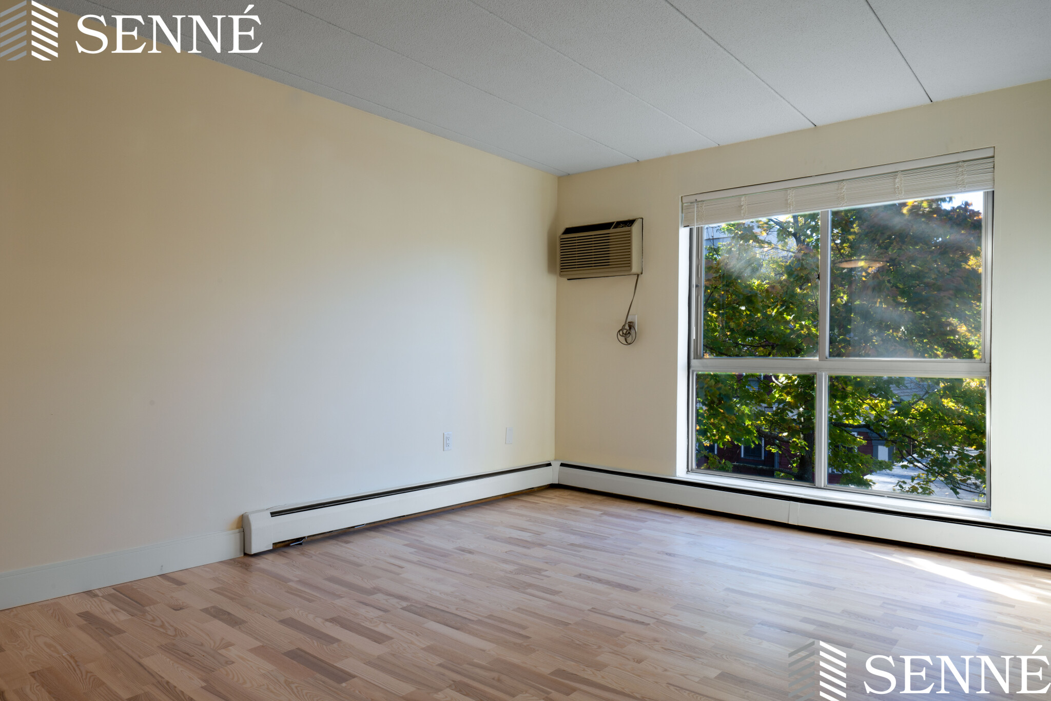 Studio bed, 1 bath apartment for rent at 16 Trowbridge St Unit 32, Mid-Cambridge — photo 3 of 6