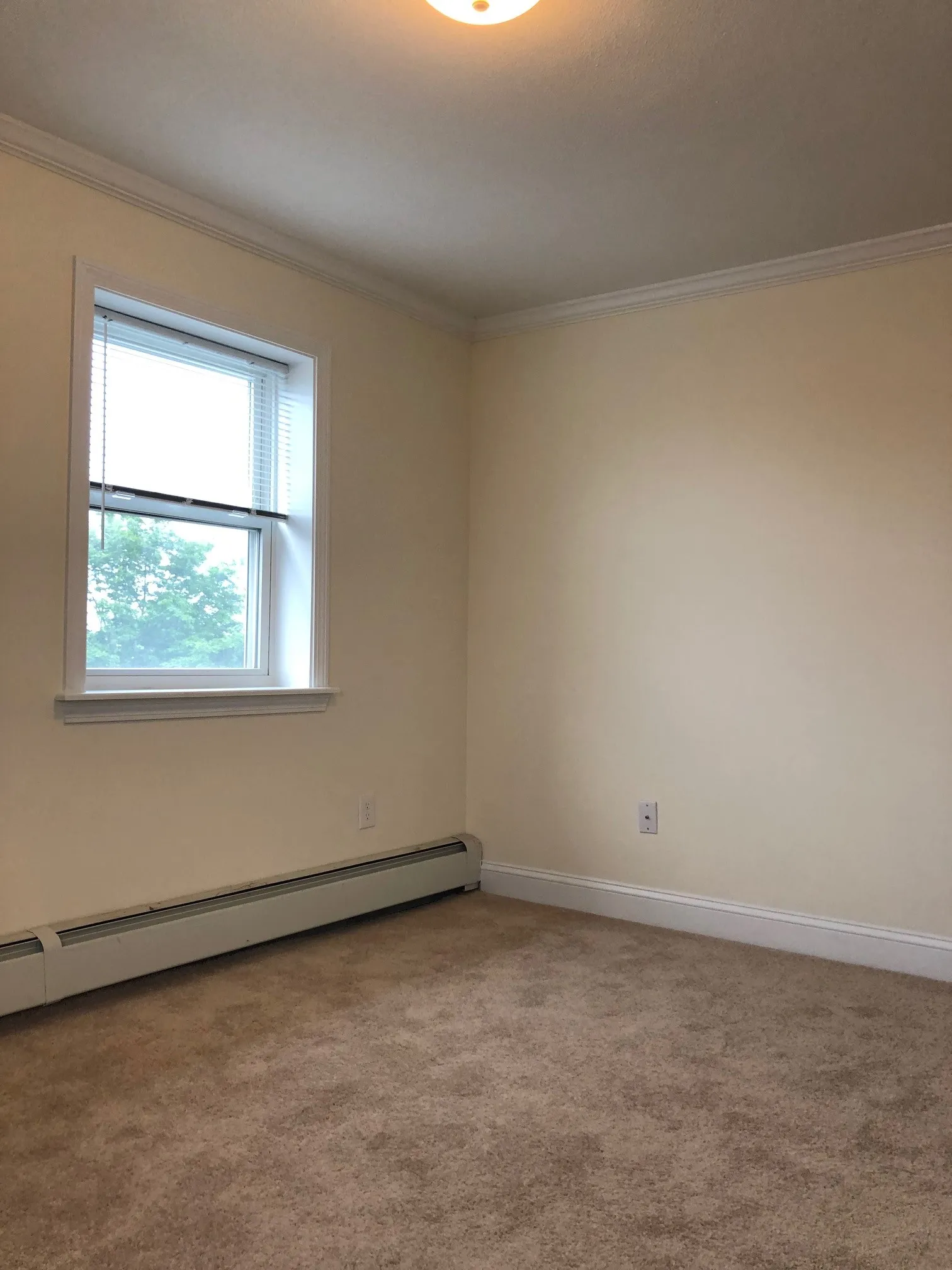 2 bed, 1 bath apartment for rent at 16 Westford St Unit 8, Allston — photo 34 of 41