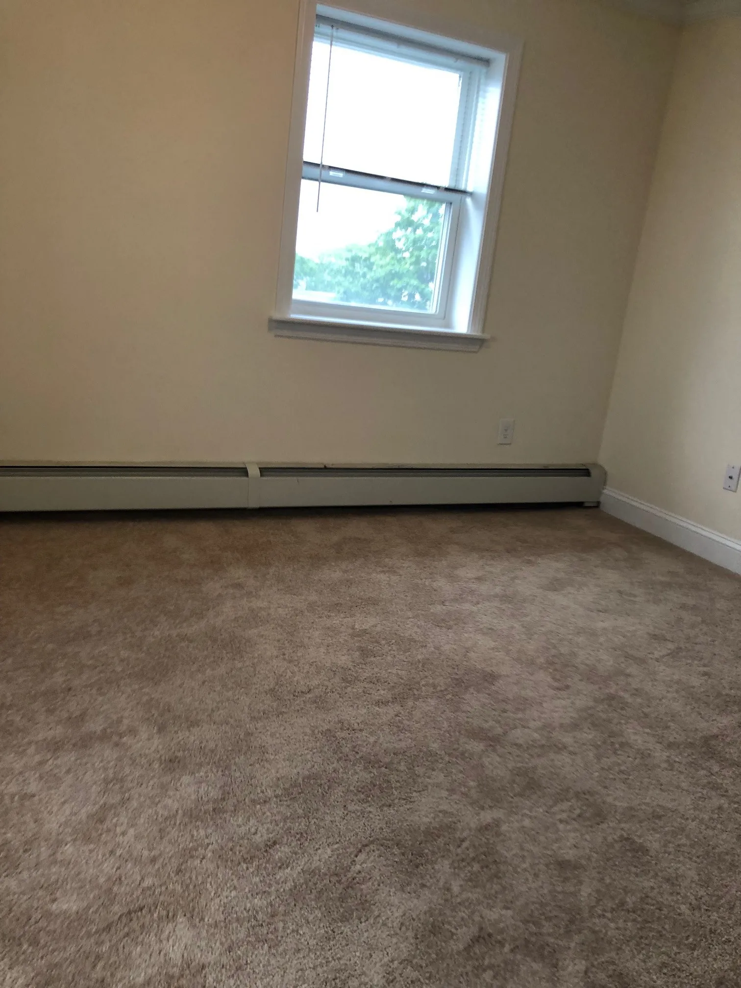 2 bed, 1 bath apartment for rent at 16 Westford St Unit 8, Allston — photo 35 of 41