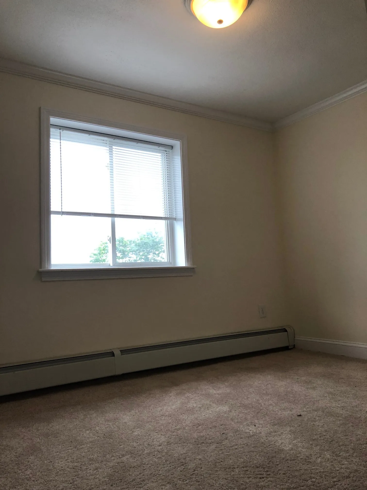2 bed, 1 bath apartment for rent at 16 Westford St Unit 8, Allston — photo 32 of 41