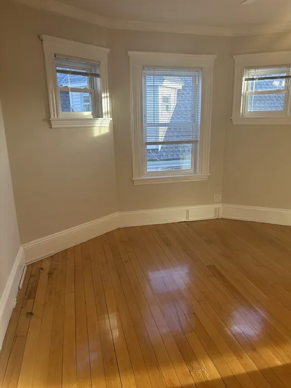 1 bed, 1 bath apartment for rent at 160 Washington St Unit 3, Brighton — photo 2 of 11