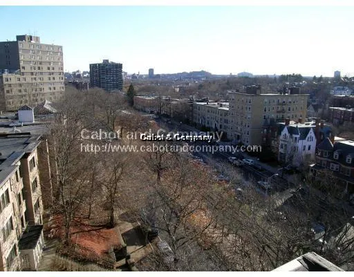 2 bed, 2 bath apartment for rent at 1600 Beacon St Unit 1112, Corey Hill — photo 10 of 12